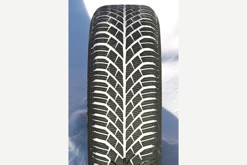 Continental Winter Contact TS 830